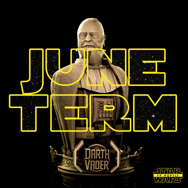 Darth Vader Bust
