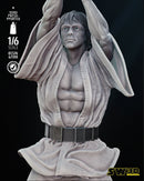 New Hope Luke Skywalker Sculpture