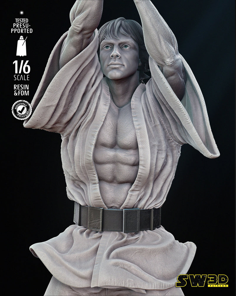New Hope Luke Skywalker Sculpture