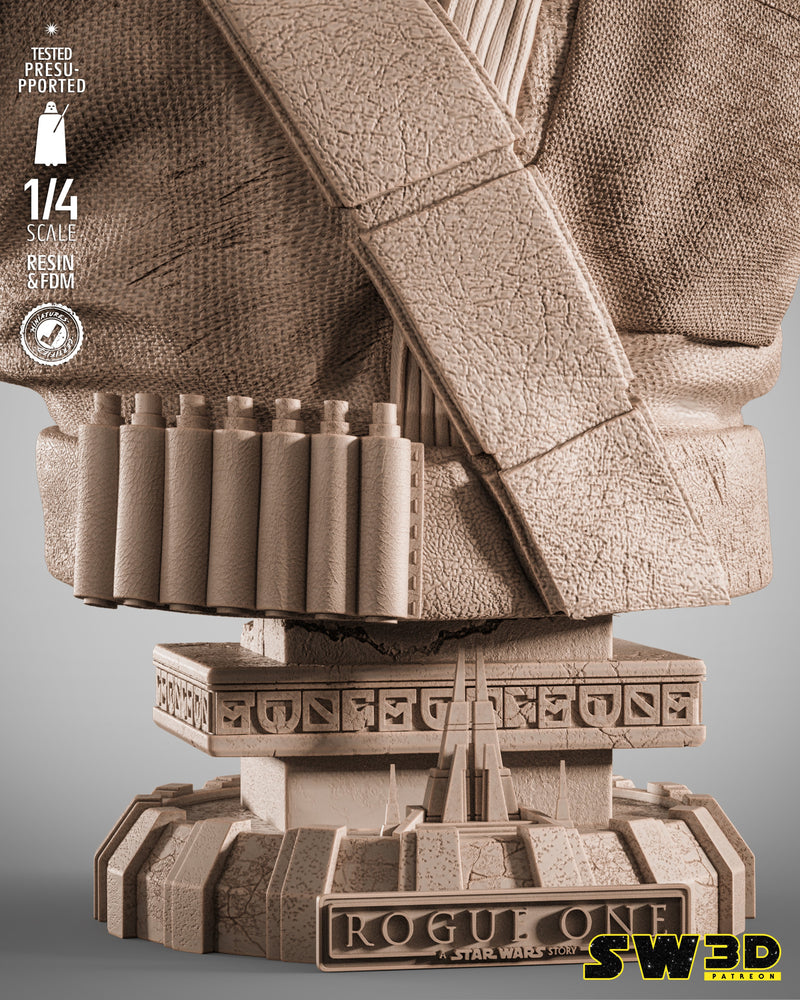 SW3D November 2025 Term Chirrut Imwe Portrait Bust