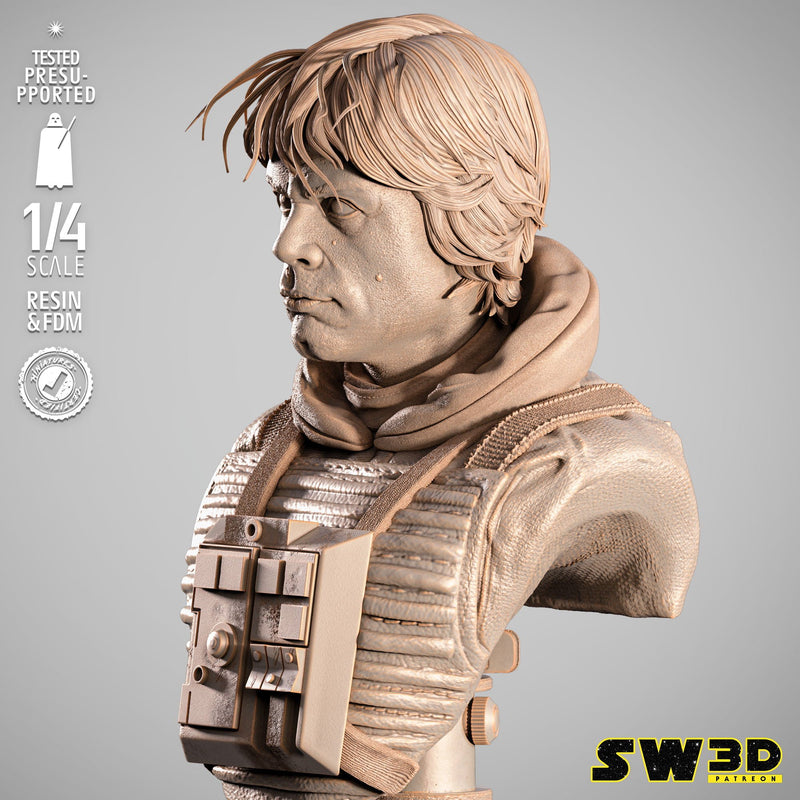 SW3D May 2025 Term Luke Pilot Portrait Bust