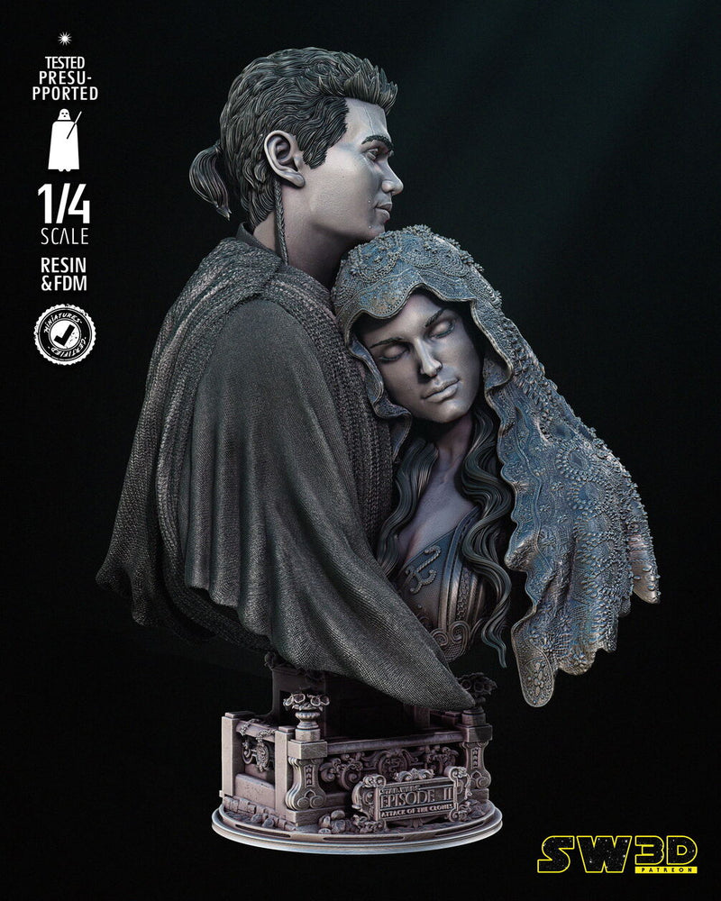 Young Anakin and Padme Bust Portrait
