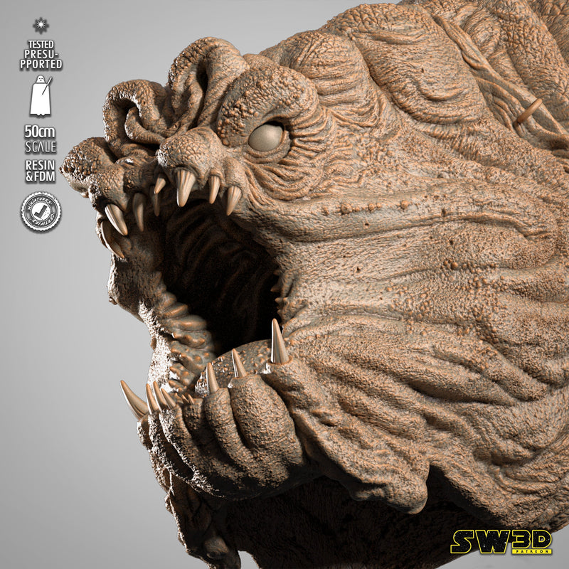 Rancor Wall