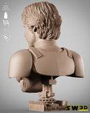 SW3D November 2025 Term Han Solo Stormtrooper Portrait Bust