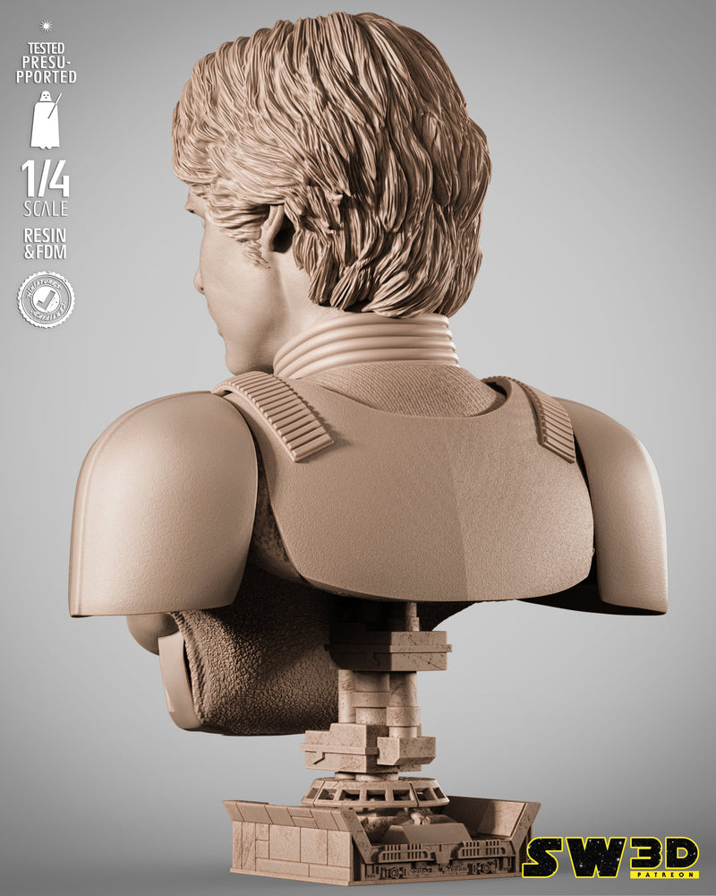 SW3D November 2025 Term Han Solo Stormtrooper Portrait Bust