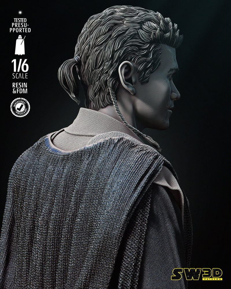 Young Anakin Sculpture