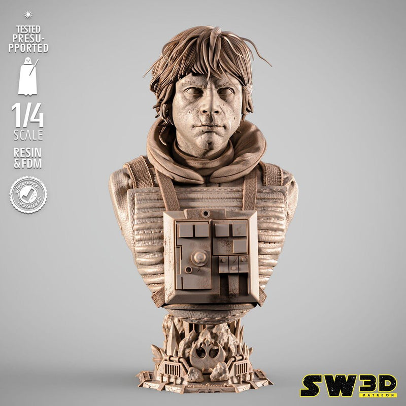 SW3D May 2025 Term Luke Pilot Portrait Bust
