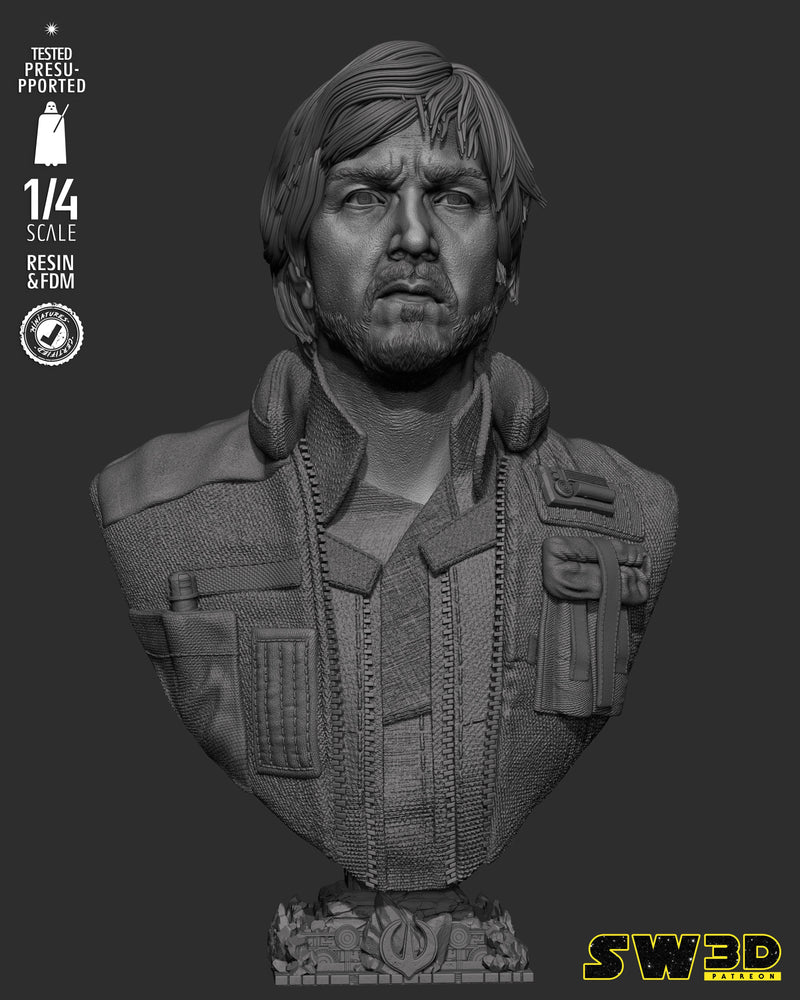 SW3D September 2025 Term Cassian Andor Portrait Bust