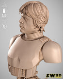SW3D October 2025 Term Luke Stormtrooper Portrait Bust