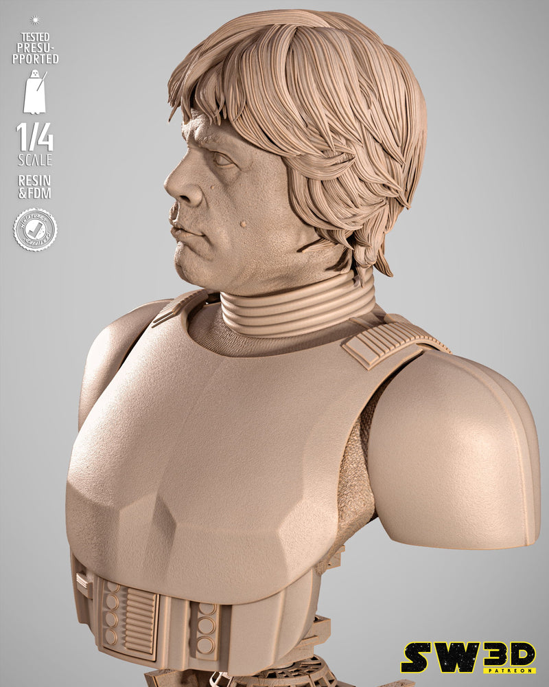 SW3D October 2025 Term Luke Stormtrooper Portrait Bust