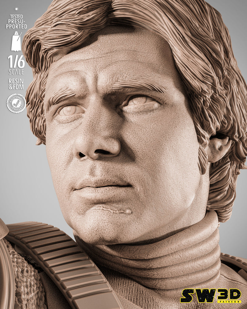 SW3D November 2025 Term Han Solo Stormtrooper Sculpture
