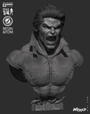 Banshee Portrait Bust resin bust kit view 7