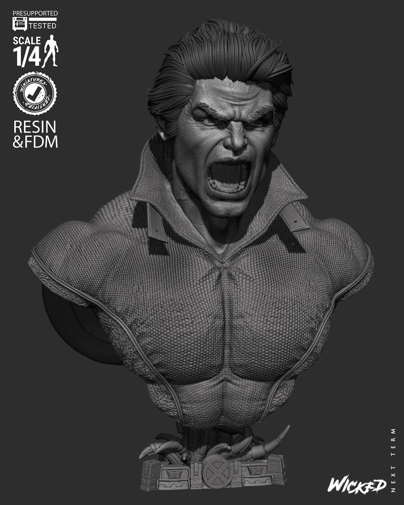 Banshee Portrait Bust resin bust kit view 7