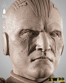 SW3D October 2025 Term Gran Inquisitor Portrait Bust