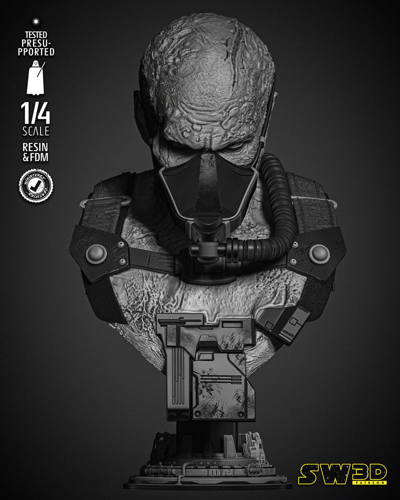 Darth Vader in the Bacta Tank Portrait Bust