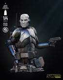 Echo Bust