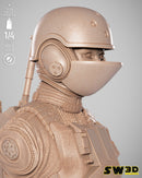 SW3D August 2025 Term Jin Erso Portrait Bust