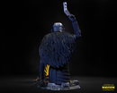 The Armorer Bust