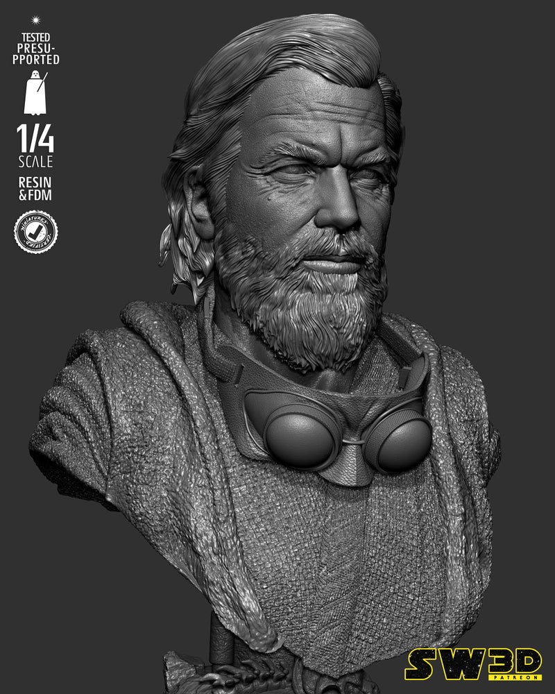 SW3D July 2025 Term Old Ben Kenobi Portrait Bust