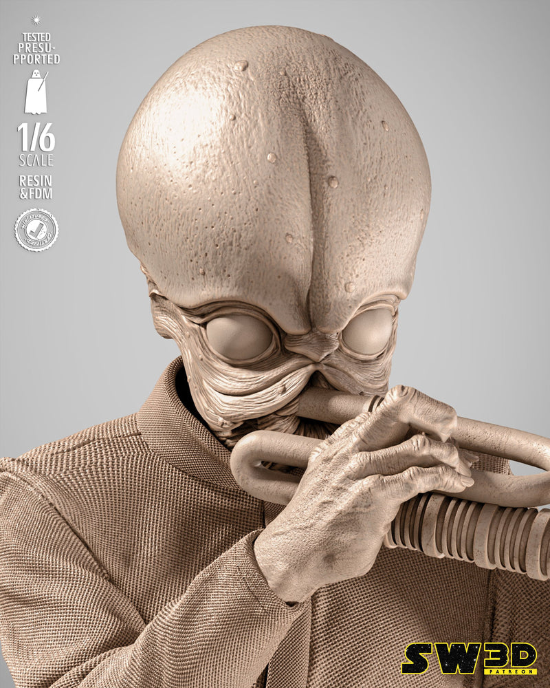 SW3D November 2025 Term Moss Eisley Cantina Band Sculpture