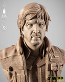 SW3D September 2025 Term Cassian Andor Portrait Bust