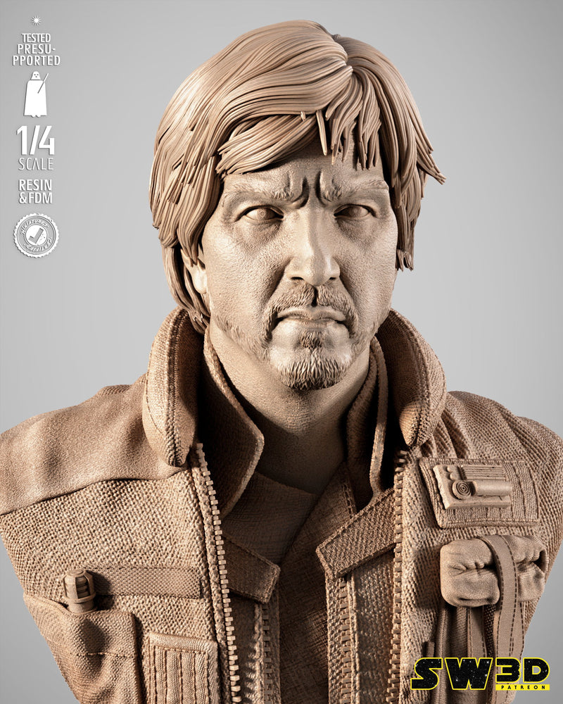 SW3D September 2025 Term Cassian Andor Portrait Bust
