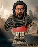 SW3D December 2025 Term Baze Malbus Portrait Bust