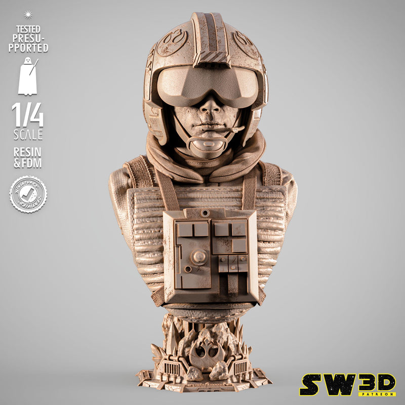 SW3D May 2025 Term Luke Pilot Portrait Bust