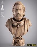 SW3D July 2025 Term Old Ben Kenobi Portrait Bust
