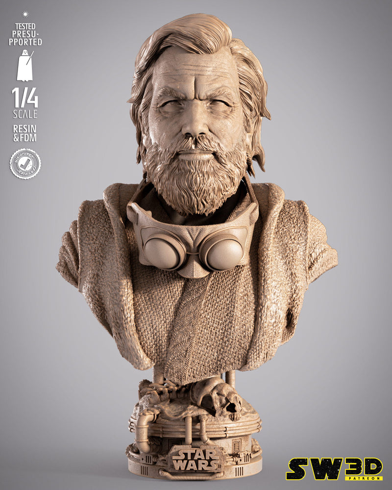 SW3D July 2025 Term Old Ben Kenobi Portrait Bust
