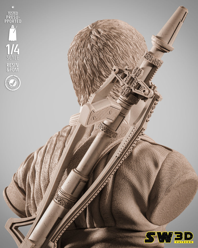 SW3D November 2025 Term Chirrut Imwe Portrait Bust
