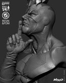 Black Bolt Portrait Bust resin bust kit view 8