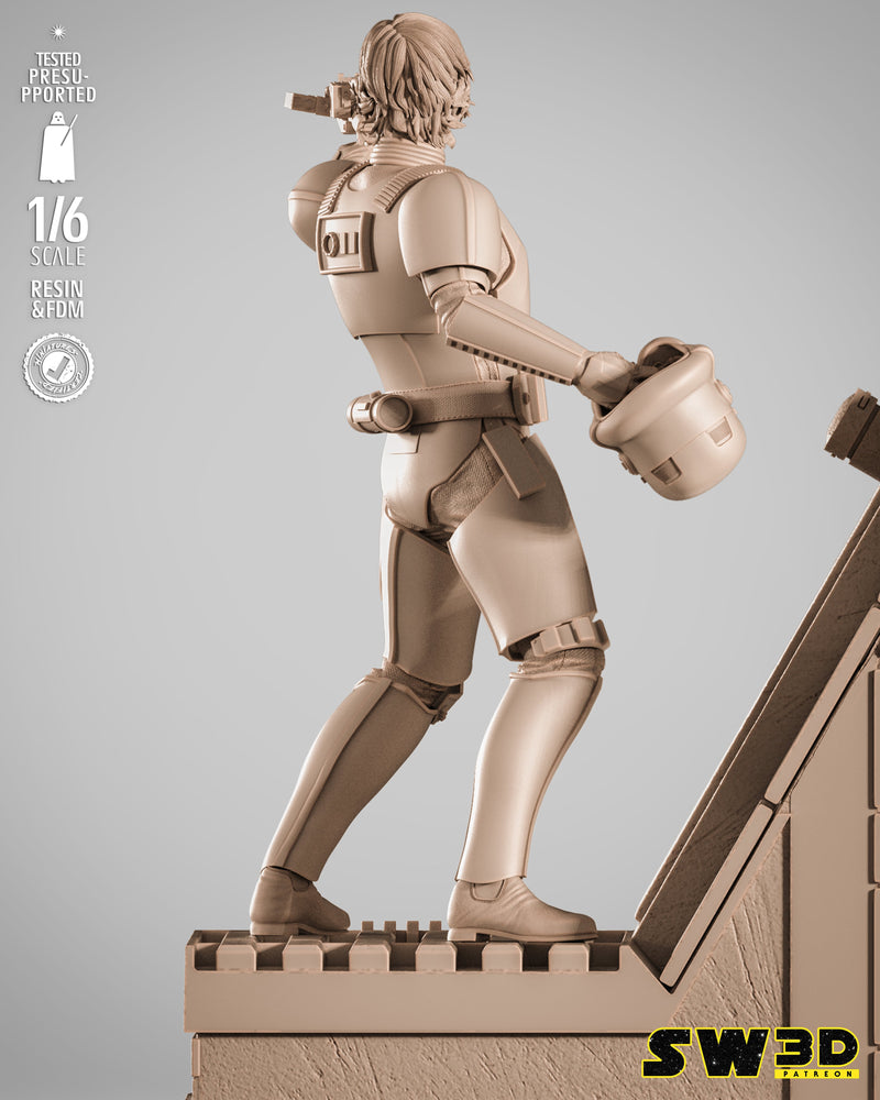 SW3D October 2025 Term Luke Stormtrooper Sculpture