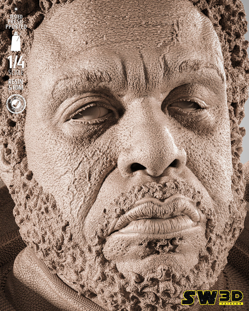 SW3D October 2025 Term Saw Gerrera Portrait Bust