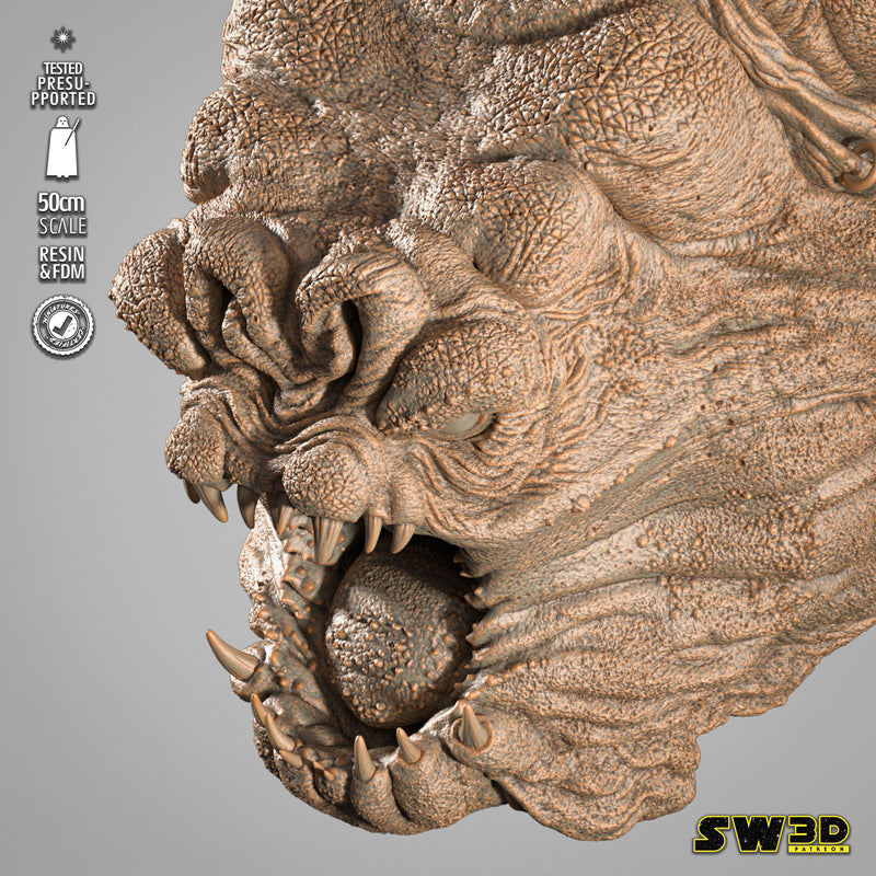 Rancor Wall