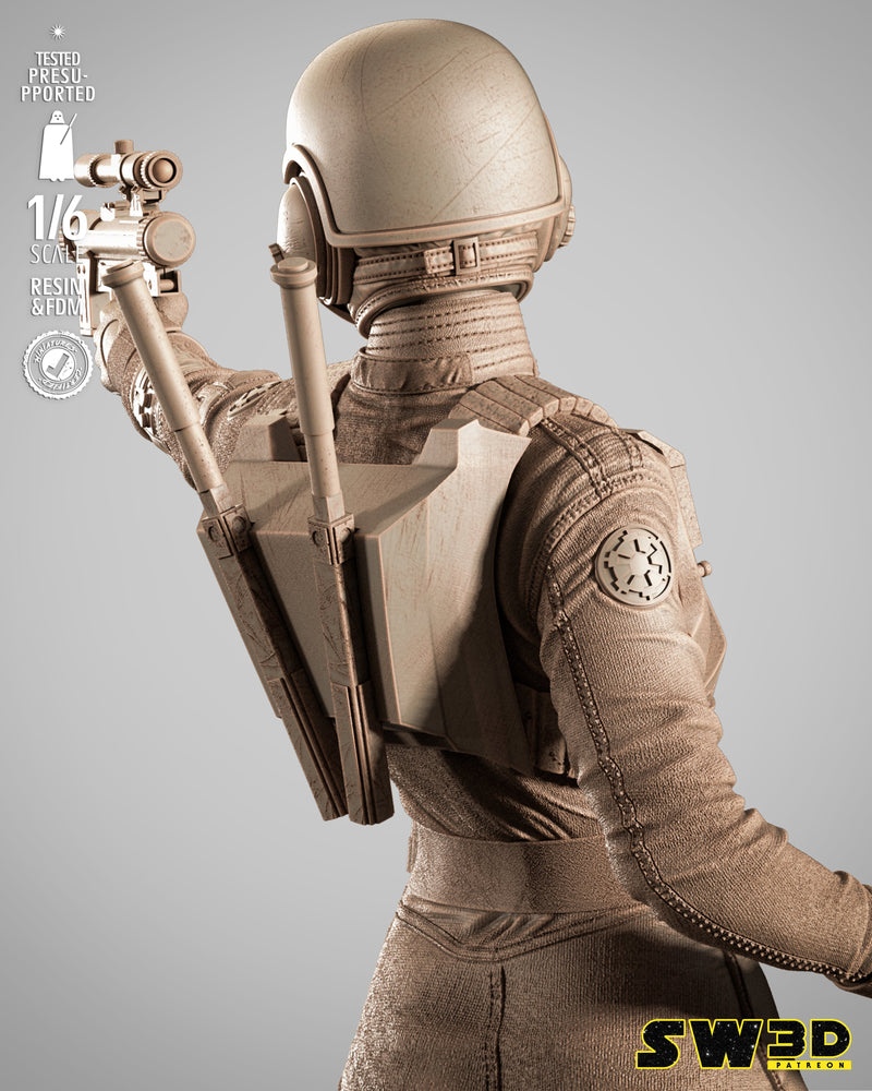 SW3D August 2025 Term Jin Erso Sculpture