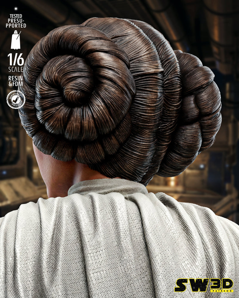 SW3D December 2025 Term Leia Organa Sculpture