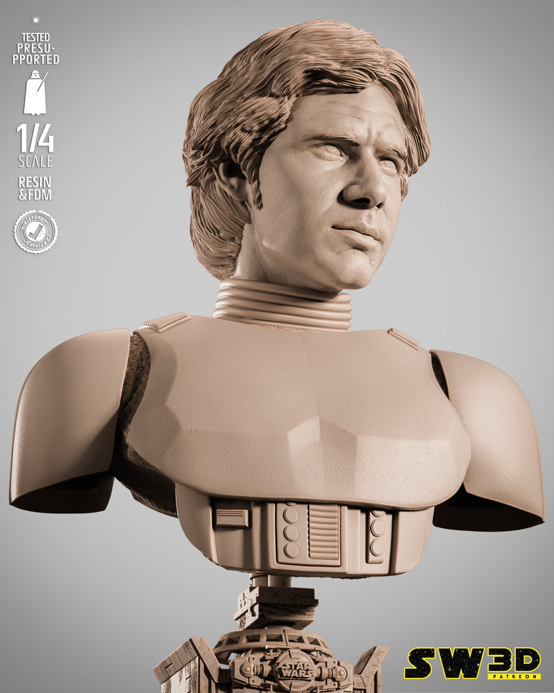 SW3D November 2025 Term Han Solo Stormtrooper Portrait Bust