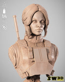 SW3D August 2025 Term Jin Erso Portrait Bust