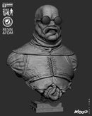 Butternall Portrait Bust resin bust kit view 8