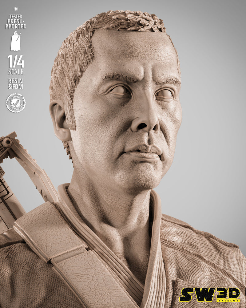 SW3D November 2025 Term Chirrut Imwe Portrait Bust