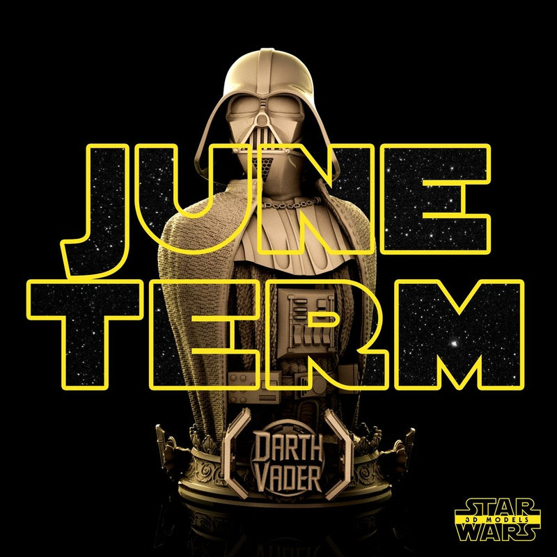 Darth Vader Bust