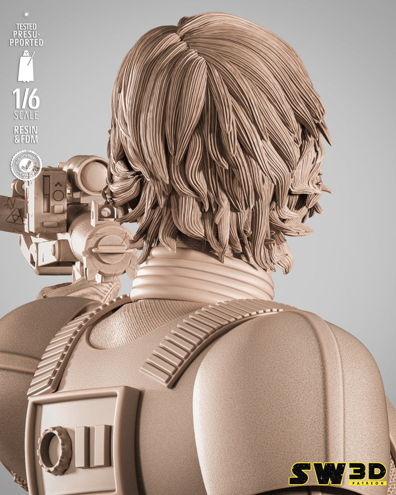 SW3D October 2025 Term Luke Stormtrooper Sculpture