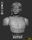 SW3D October 2025 Term Luke Stormtrooper Portrait Bust