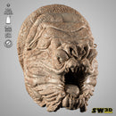 Rancor Wall