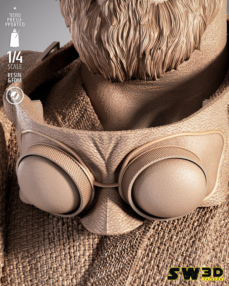 SW3D July 2025 Term Old Ben Kenobi Portrait Bust