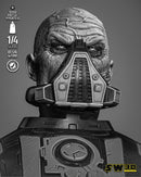 Darth Malgus Portrait Bust