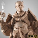Darth Maul Samurai Sculpture