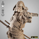 Stormtrooper Samurai Sculpture