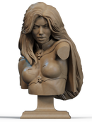 Death Princess Resin Bust - view 1